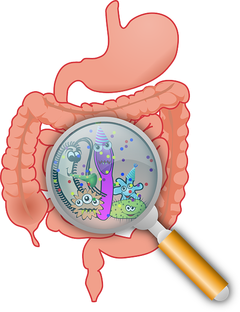 Probiotici