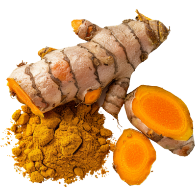 Curcuma